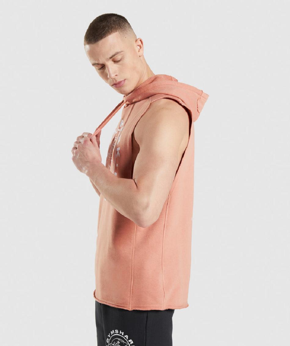 Bluzy Z Kapturem Męskie Gymshark Legacy Drop Arm Różowe | PL 3598BEX